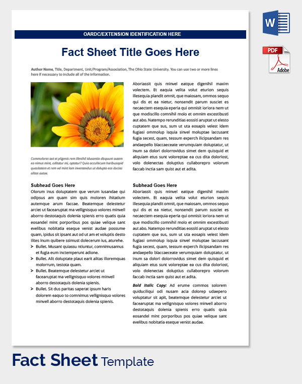 Essential Guide to Creating an Informative Fact File Template in Word