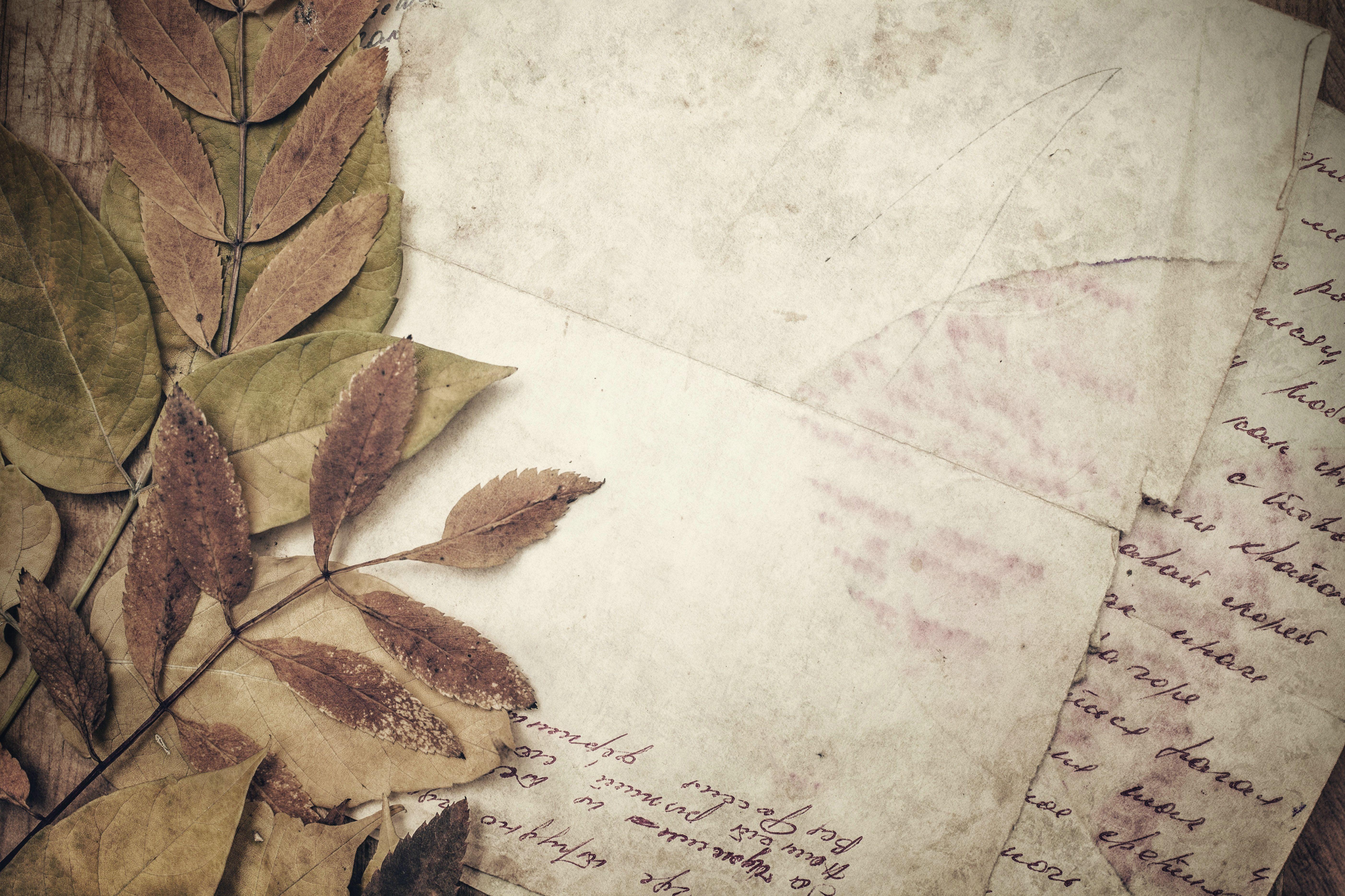 Exploring Creative Possibilities: Innovative Letter Background Design Ideas